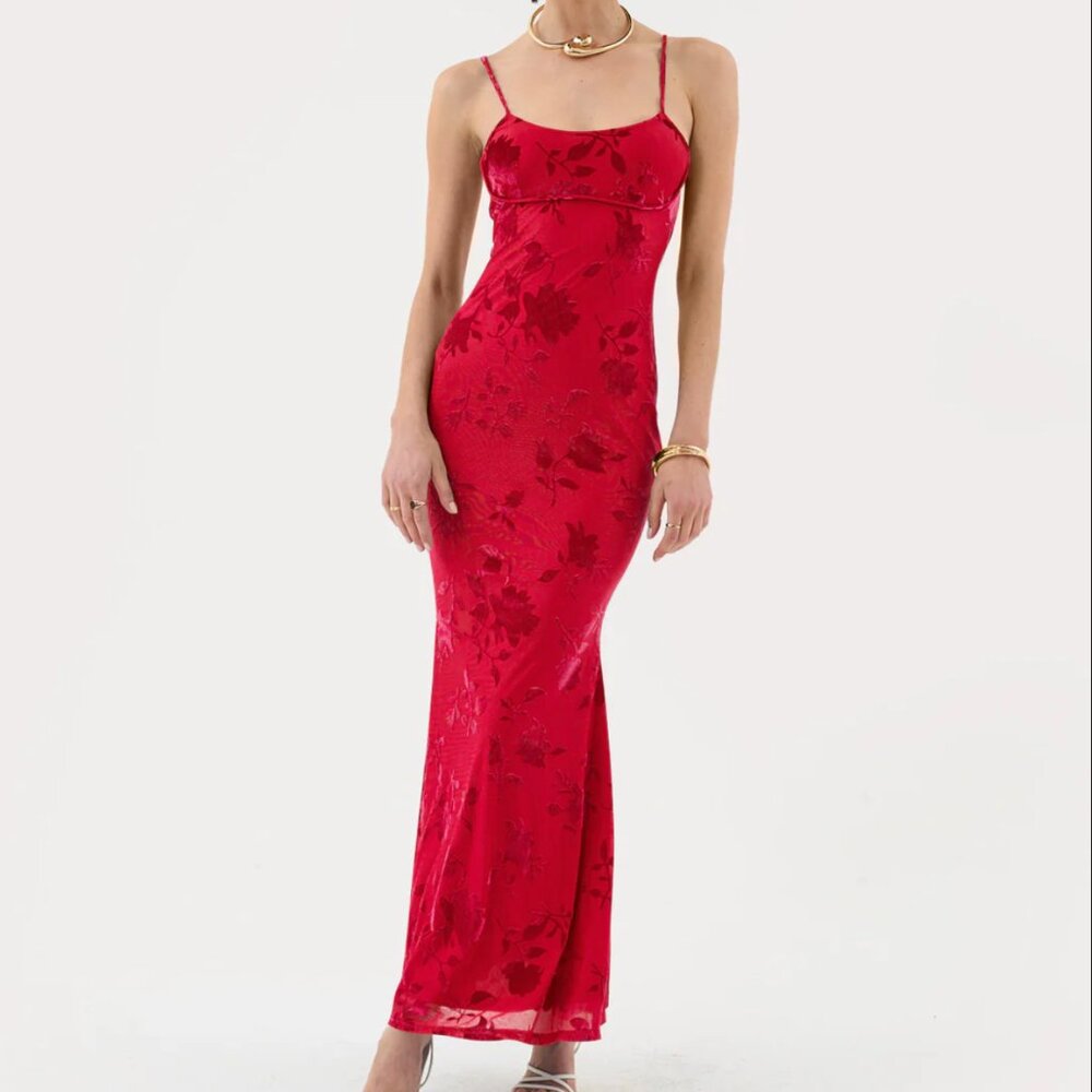 [NWT] floral burnout red maxi dress